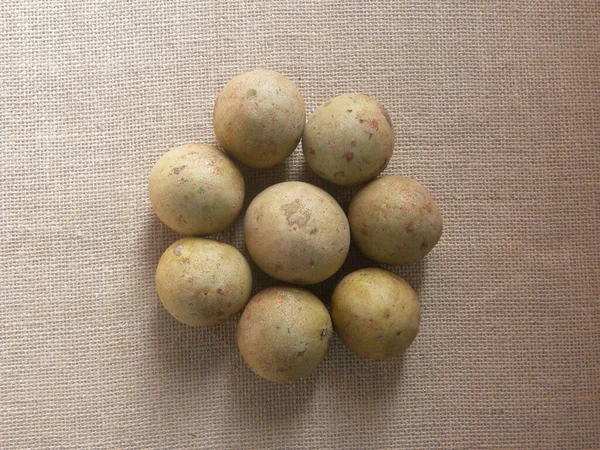 Kahverengi Sapodilla Veya Manilkara Zapota Meyveleri — Stok fotoğraf