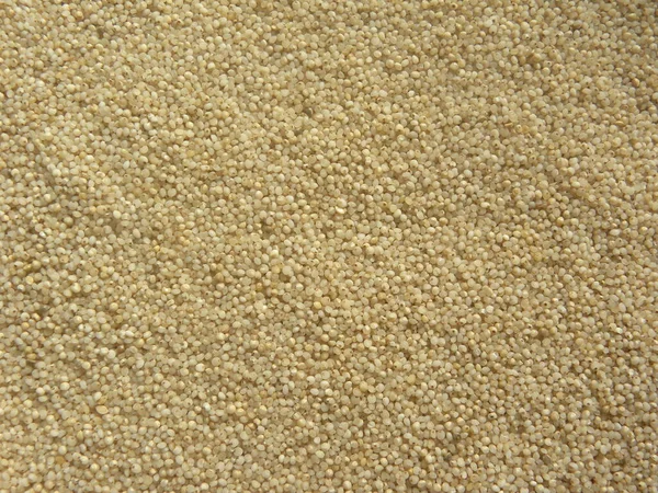 色泽灰白的原生全印度面包房小米或羊草果灵丹药 — 图库照片
