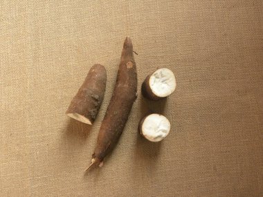 Kahverengi ham Cassava kökleri veya Manihot esculenta