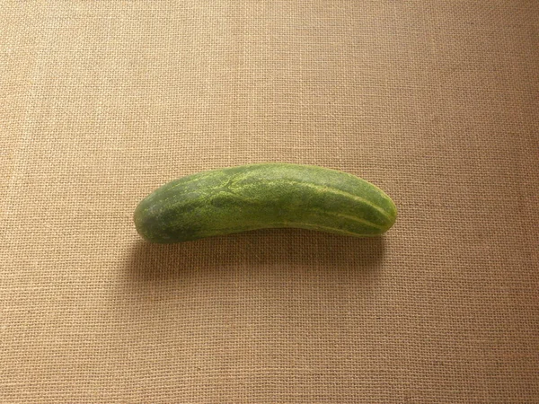 Green Color Whole Raw Cucumber — Stock Photo, Image