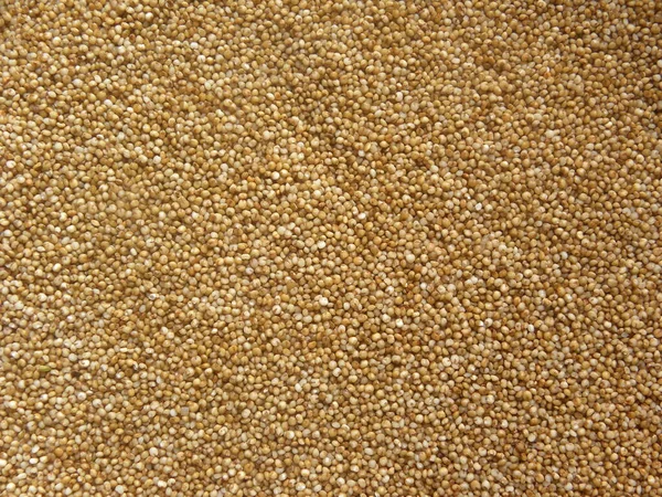 茶色い生小麦粉 — ストック写真