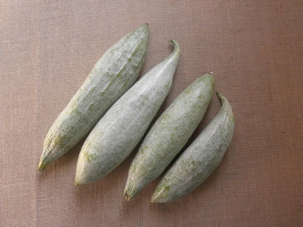 Grön Vit Färg Hela Orm Gourds Eller Trichosanthes Cucumerina — Stockfoto