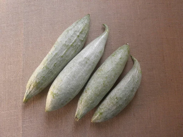 Color Blanco Verdoso Crudo Entero Calabazas Serpiente Trichosanthes Cucumerina —  Fotos de Stock