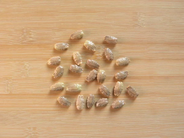 Light Pink Color Seeds Snake Gourd — Stock Photo, Image