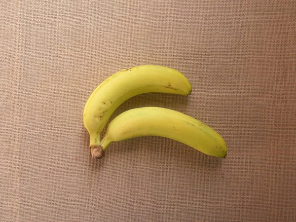 Желтый Цвет Спелых Бананов Кавендиш Робуста Муса Акумината — стоковое фото