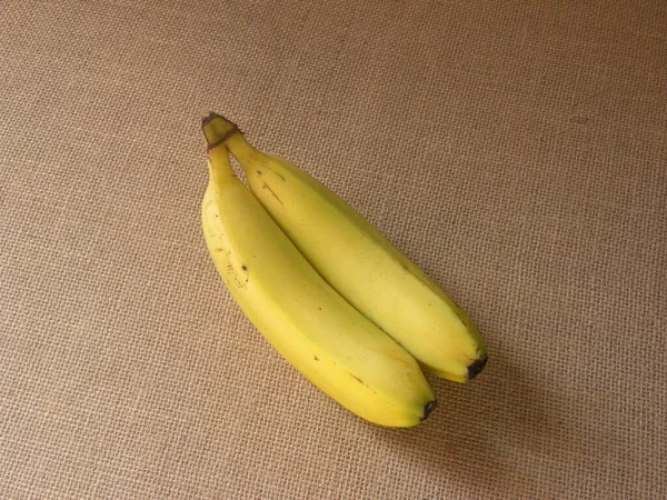 Bananes Robusta Cavendish Mûres Couleur Jaune Musa Acuminata — Photo