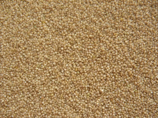 褐色的整个生小米 — 图库照片