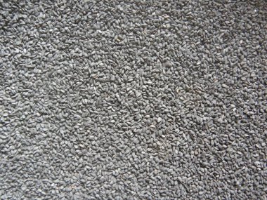 Siyah karanfil ya da Nigella sativa tohumları