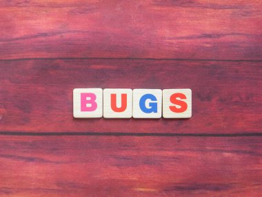 Tahta arka planda sözcük böcekleri