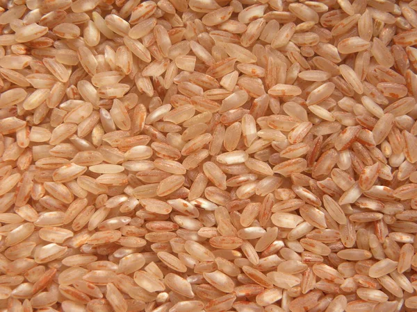 Red Color Raw Whole Rice — Stock Photo, Image