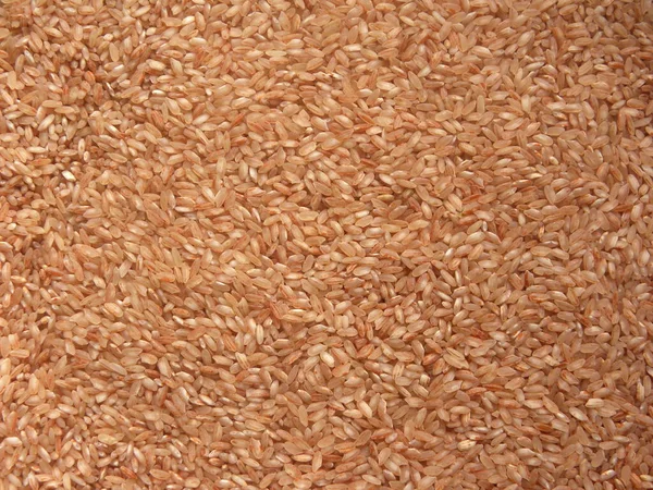 Rote Farbe Roher Reis — Stockfoto