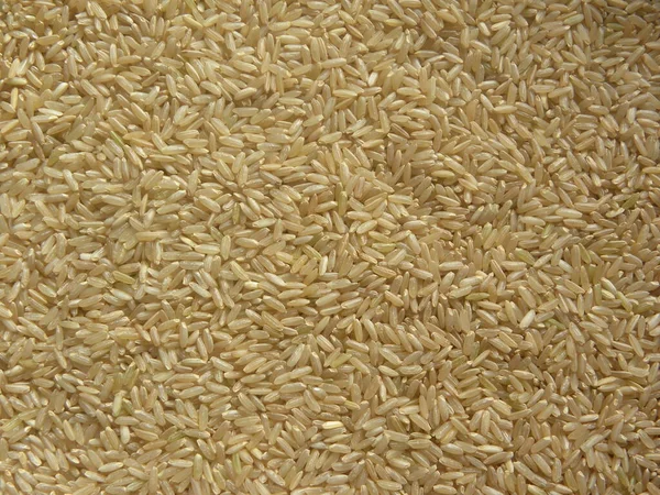 Hnědá Barva Syrová Celozrnná Rýže — Stock fotografie