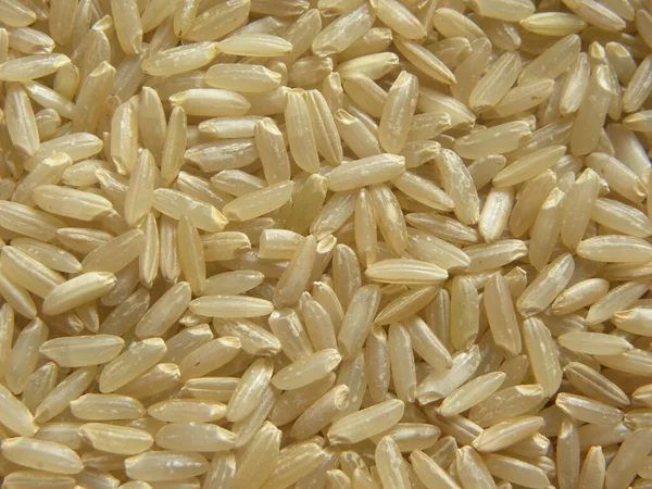 Hnědá Barva Syrová Celozrnná Rýže — Stock fotografie