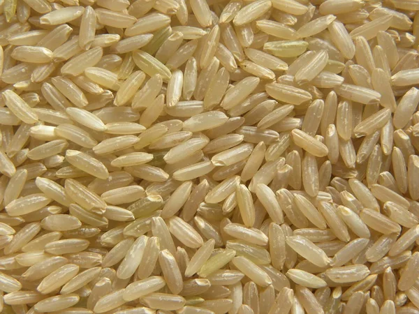 Riz Grains Entiers Crus Couleur Brune — Photo