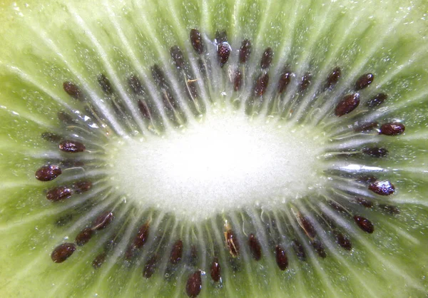 Dettaglio Sezione Tagliata Colore Verde Bianco Tagliata Fette Frutta Kiwi — Foto Stock