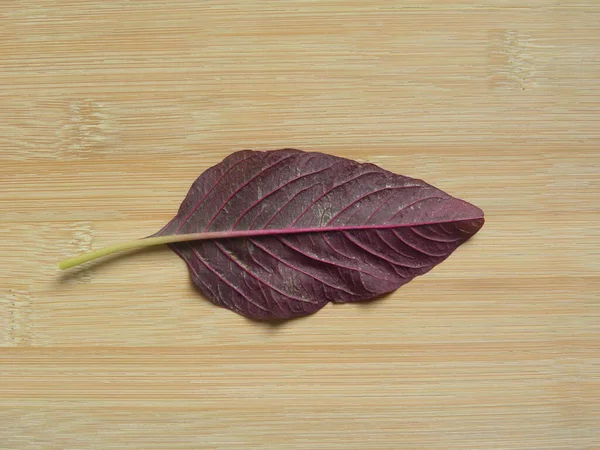 Red color raw fresh Amaranth leaf