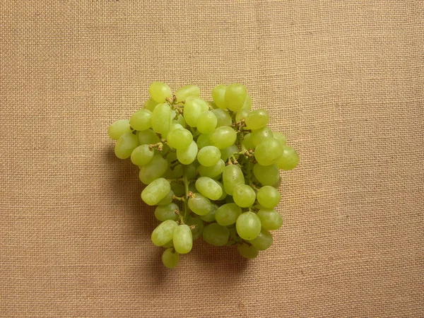 Pale Green Color Ripe Thompson Seedless Grapes — Stock Photo, Image