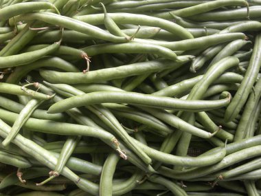 Yeşil, çiğ, Fransız fasulyesi.