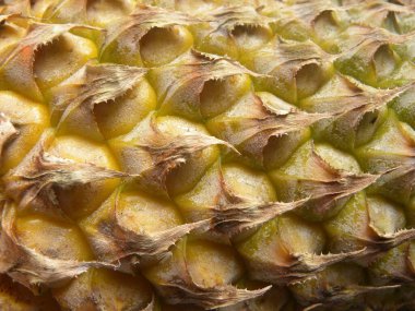 Sarı renk, olgun ananas kabuğu desenli detaylar.