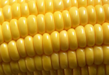 Sarı çiğ kabuklu tatlı mısır koçanları desenli detaylar