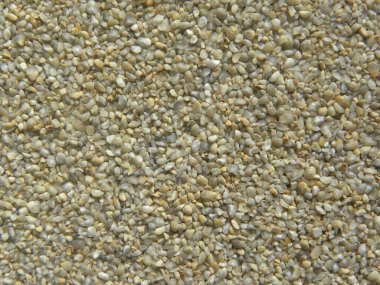 Gri ve sarı renk. İnci darı ya da Bajra dalia çatlağı.