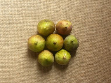 Yeşil renkli, olgun Hint inciri meyveleri veya Ficus racemosa.