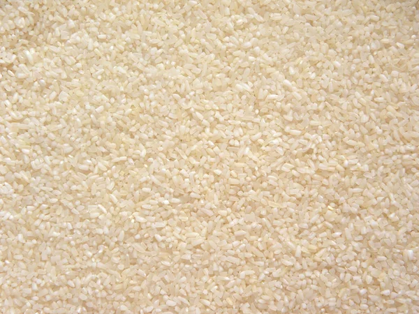 Белый Цвет Сырой Сломанный Рис — стоковое фото