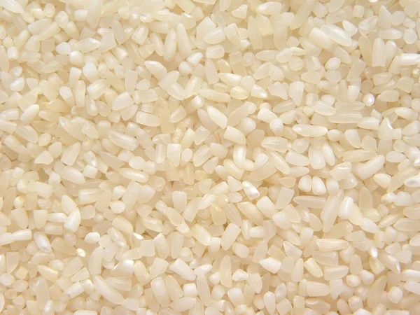 Riz Brisé Cru Couleur Blanche — Photo