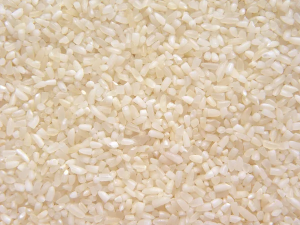 Riz Brisé Cru Couleur Blanche — Photo