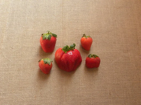 Red Color Whole Ripe Strawberries — Stock Photo, Image