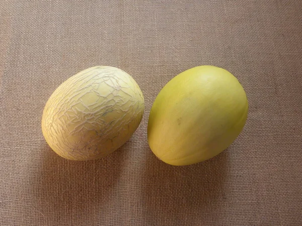Kuning Seluruh Masak Muskmelon Netted Dan Sun Melon — Stok Foto