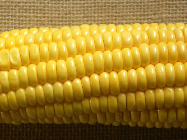 Žlutá Surová Loupaná Kukuřice Cobs Texturované Detail — Stock fotografie