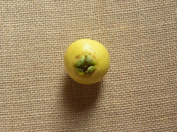 Κίτρινο Χρώμα Ολόκληρο Ώριμο Τριαντάφυλλο Μήλο Syzygium Jambos Φρούτα — Φωτογραφία Αρχείου