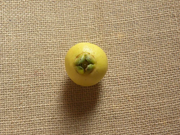 Sarı Renk Olgun Gül Elması Syzygium Jambos — Stok fotoğraf