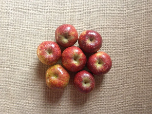 Color Rojo Manzanas Shimla Maduras Enteras — Foto de Stock