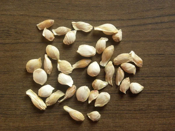 Weiße Farbe Samen Von Limetten Oder Zitrusfrüchten — Stockfoto
