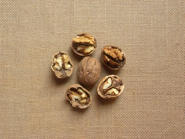 Whole Broken Brown Color Raw Whole Dried Walnuts — Stock Photo, Image