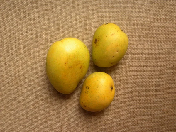 Color Amarillo Maduro Entero Fresco Banganapalli Mangos — Foto de Stock