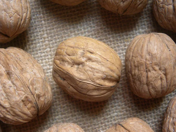 Brown Color Raw Whole Dried Walnut — Stock Photo, Image