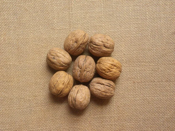 Brown Color Raw Whole Dried Walnut — Stock Photo, Image