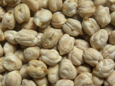 Açık ten rengi, bütün nohut.