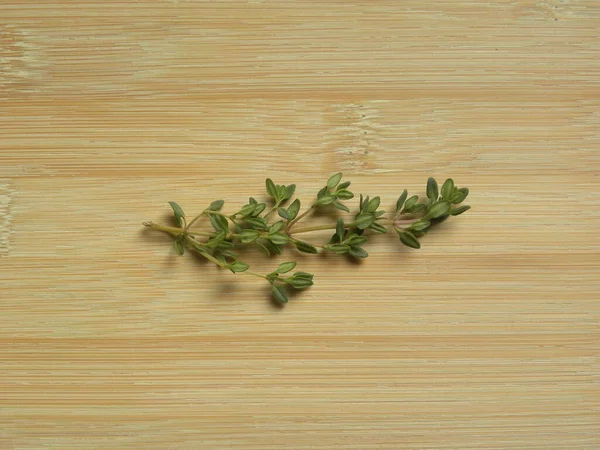 Зеленый Цвет Сырой Свежий Тимьян Листья Thymus Vulgaris — стоковое фото