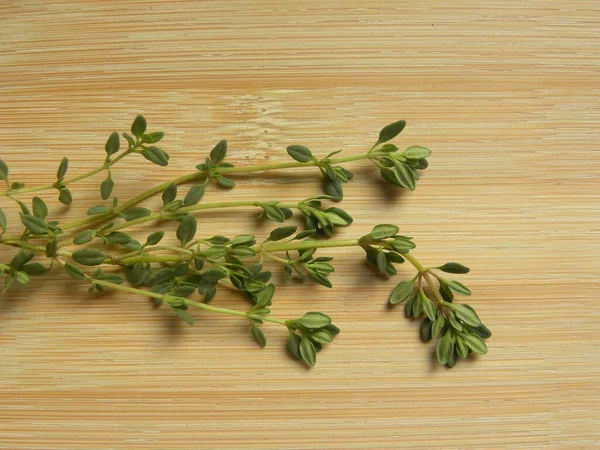 Folhas Tomilho Frescas Cruas Cor Verde Thymus Vulgaris — Fotografia de Stock