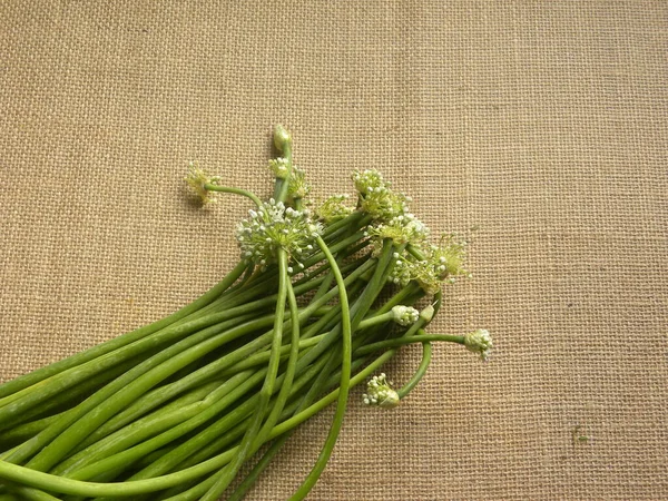 Raw Fresh Onion Flowers Vegetable — Stock Photo, Image