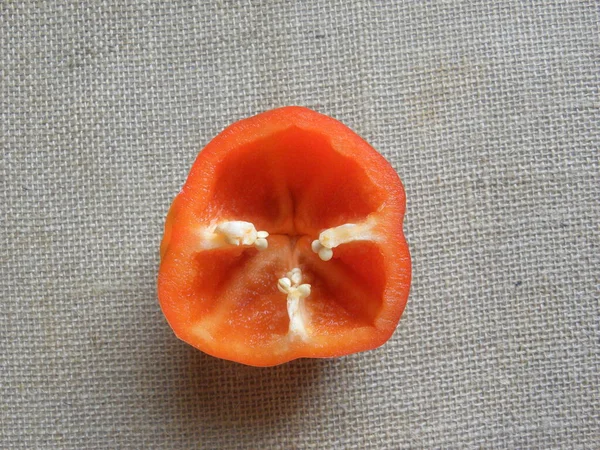 Cut Cross Section Detail Red Color Raw Bell Pepper — Stock Photo, Image
