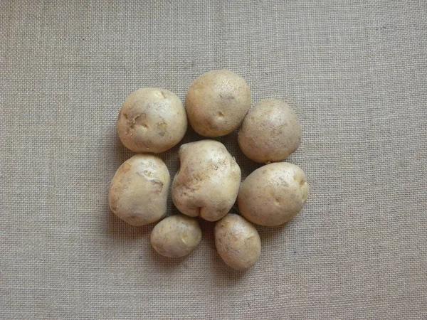 Kolor Brązowy Surowe Całe Ziemniaki — Zdjęcie stockowe