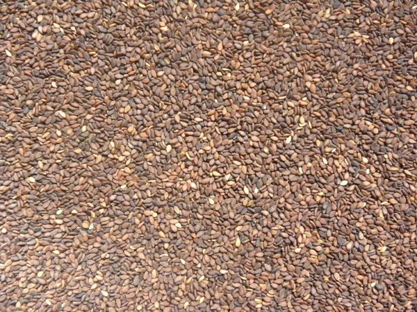 茶色の生全粒粉干しゴマ — ストック写真