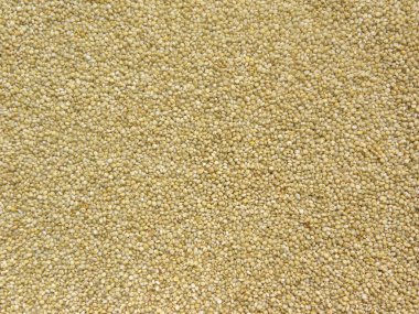 Bej rengi, çiğ, kurutulmuş kahverengi üst darı.