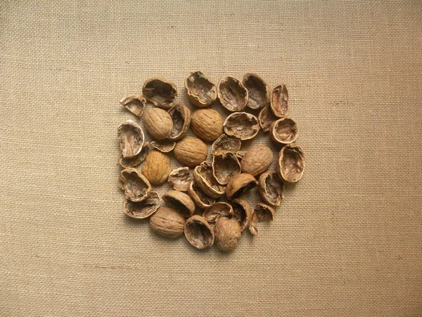 Brown Empty Dried Walnut Shells — Stock Photo, Image