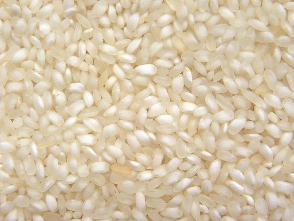 Белый Цвет Сырой Idli Парированный Рис — стоковое фото